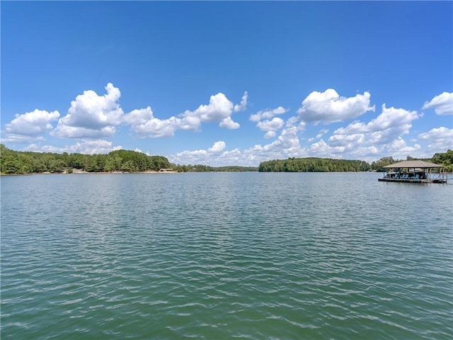 0 Pointe Harbor Dr Lot 12, Seneca, SC 29672 - photo 5