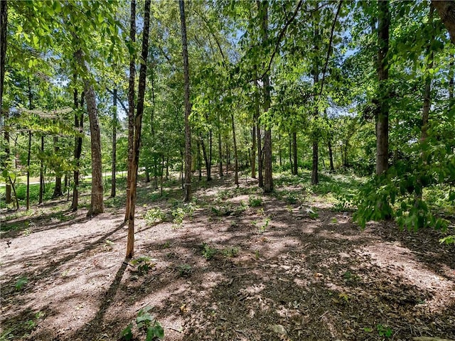 0 Pointe Harbor Dr Lot 12, Seneca, SC 29672 - photo 7