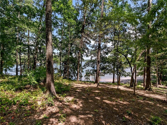 0 Pointe Harbor Dr Lot 12, Seneca, SC 29672 - photo 8