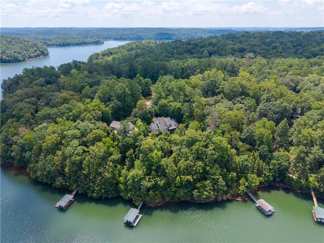 1719 Claire Ct, Seneca, SC 29672 - photo 45