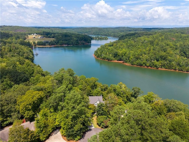 1719 Claire Ct, Seneca, SC 29672 - photo 46