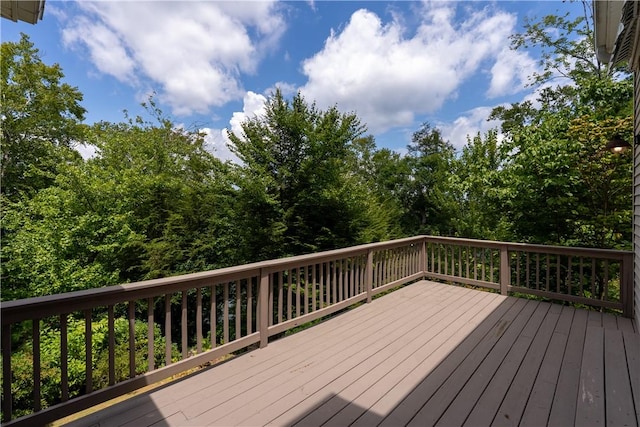 1719 Claire Ct, Seneca, SC 29672 - photo 9