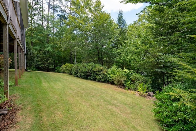 1719 Claire Ct, Seneca, SC 29672 - photo 40