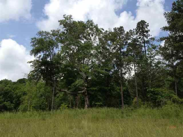 Listing photo 2 for LOT56FOURPOINTESNORTH Natures View Dr N, Salem SC 29676