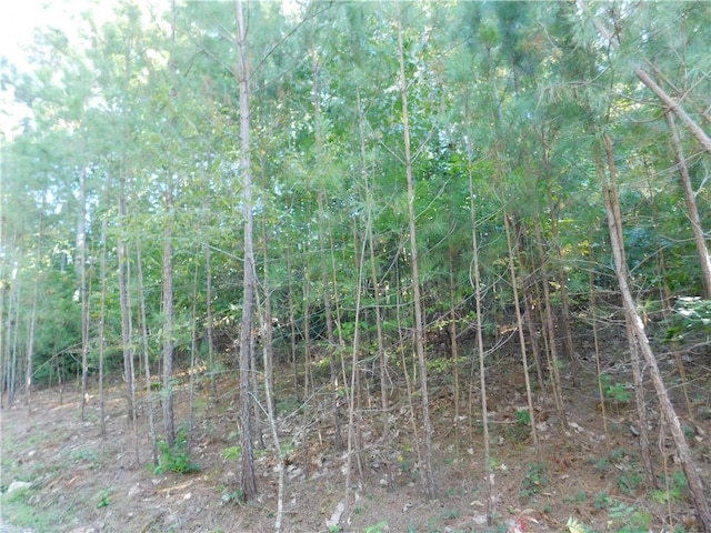 LOT6 Bentwood Way, Salem, SC 29676 - photo 1