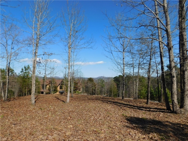 Listing photo 2 for JC5 Eagles Bend Trl, Salem SC 29676