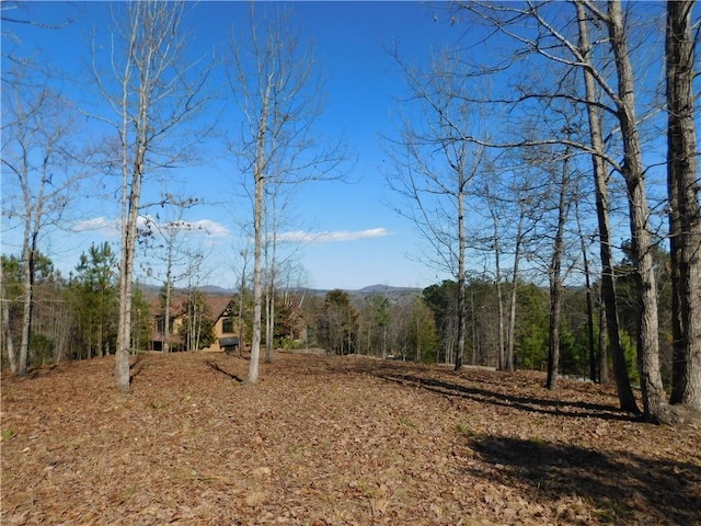 JC5 Eagles Bend Trl, Salem, SC 29676 - photo 2