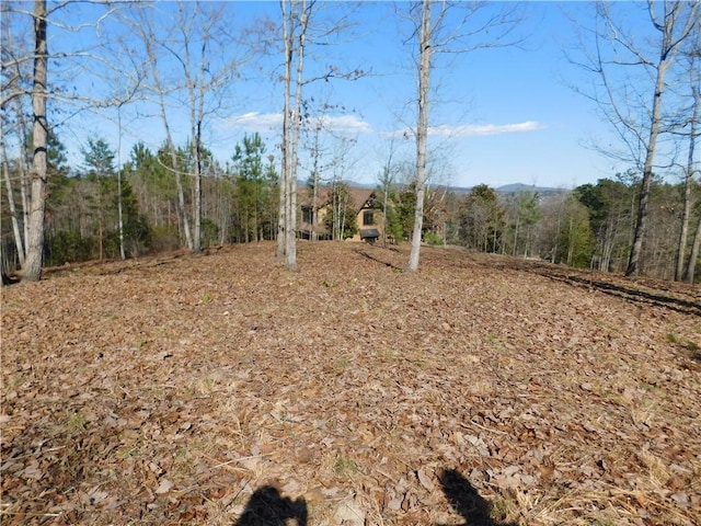 JC5 Eagles Bend Trl, Salem, SC 29676 - photo 4