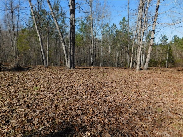 JC5 Eagles Bend Trl, Salem, SC 29676 - photo 5