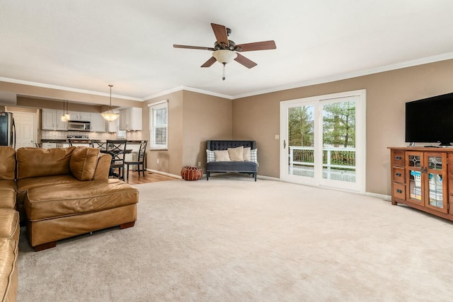 carpeted living room with a wealth of natural light, crown molding, and ceiling fan