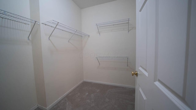 5901 Hickory Brook Way, Columbus, OH 43213 - walk in closet featuring carpet floors