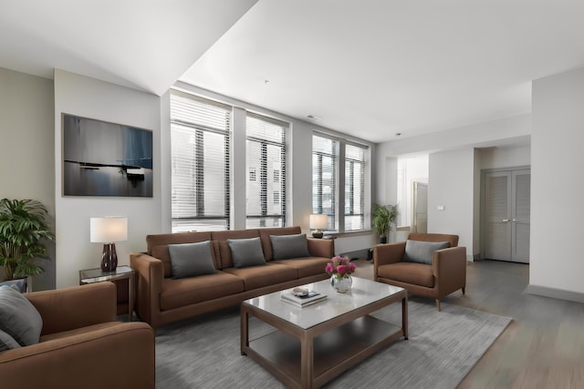 living room featuring hardwood / wood-style flooring