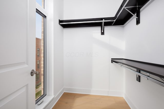 walk in closet with light wood-type flooring