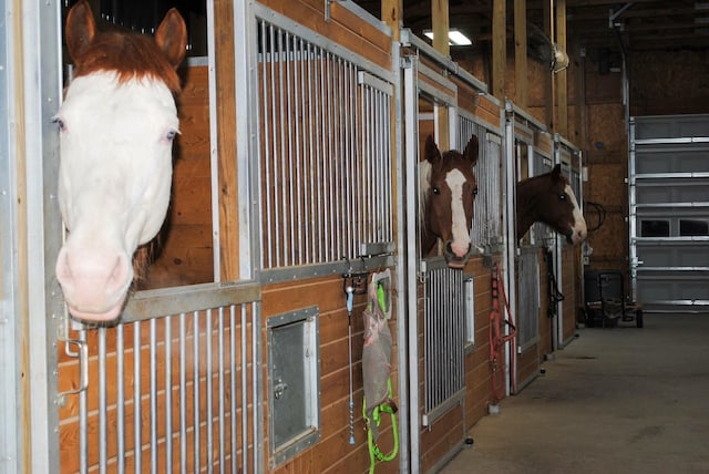 view of horse barn