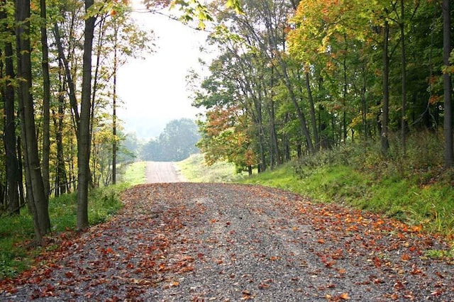 00 Cattle Dr, Barnesville, OH 43713