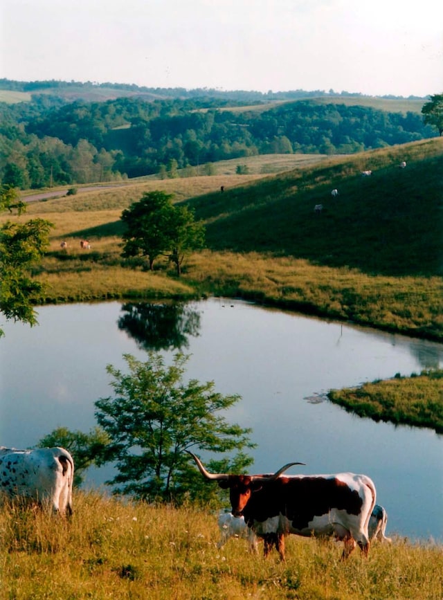 00 Cattle Dr, Barnesville, OH 43713