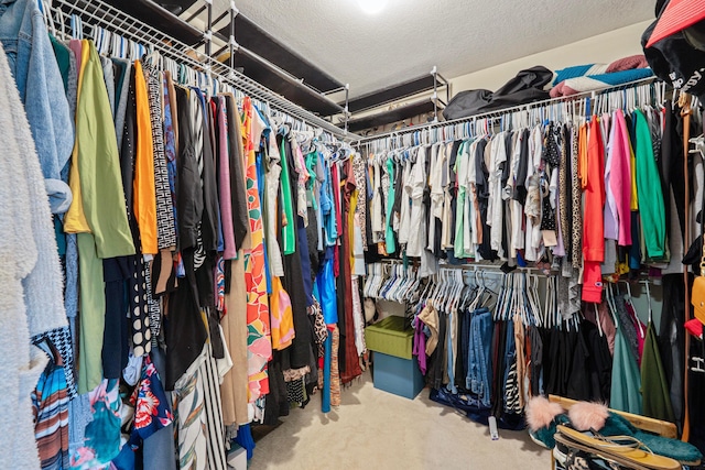 12627 Oakmere Dr, Pickerington, OH 43147 - walk in closet with carpet