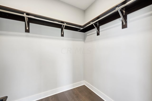 walk in closet featuring dark wood-type flooring