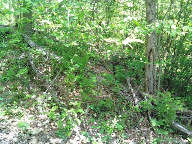 0 County Road 12, Corning, OH 43730 - photo 1