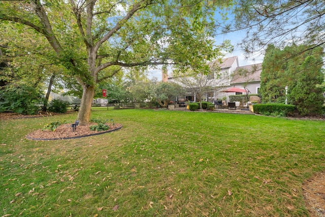 view of yard featuring a patio