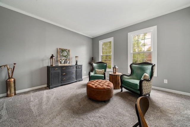 sitting room featuring carpet floors, crown molding, and baseboards