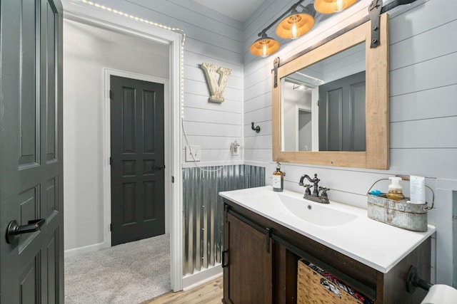 bathroom featuring wood finished floors and vanity