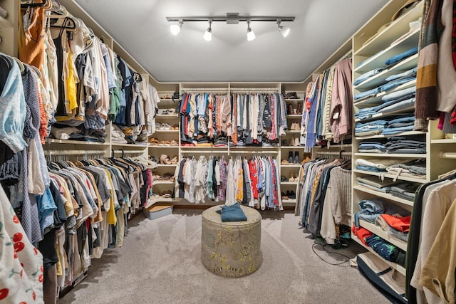 spacious closet featuring carpet floors