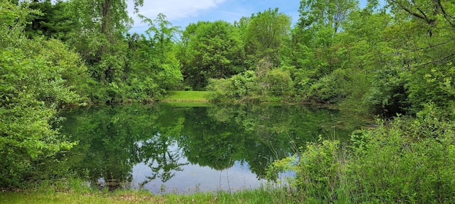 view of landscape with a water view