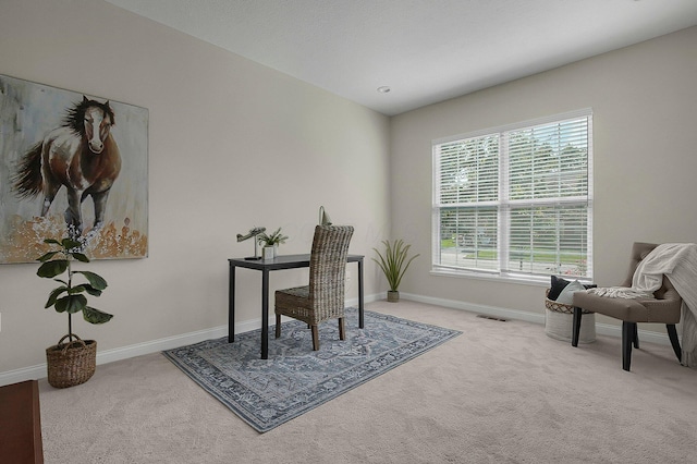 5421 Mercier St, Lewis Center, OH 43035 - office with carpet and baseboards