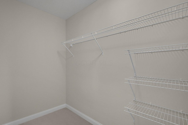 5421 Mercier St, Lewis Center, OH 43035 - walk in closet with carpet