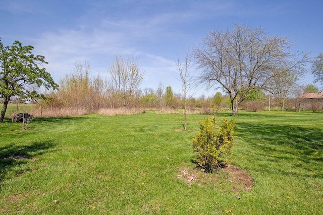 view of yard with a rural view