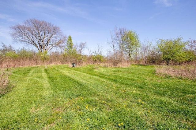 view of yard featuring a rural view