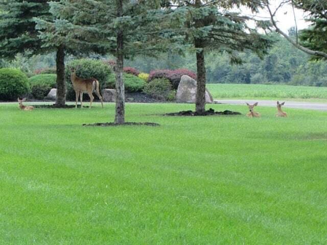 surrounding community featuring a lawn