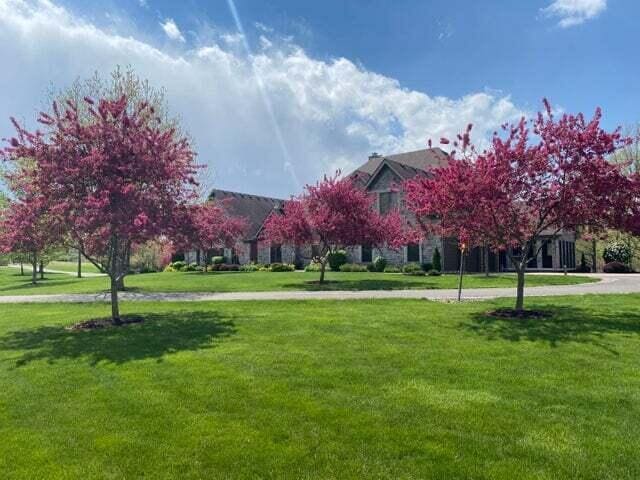 view of community featuring a lawn