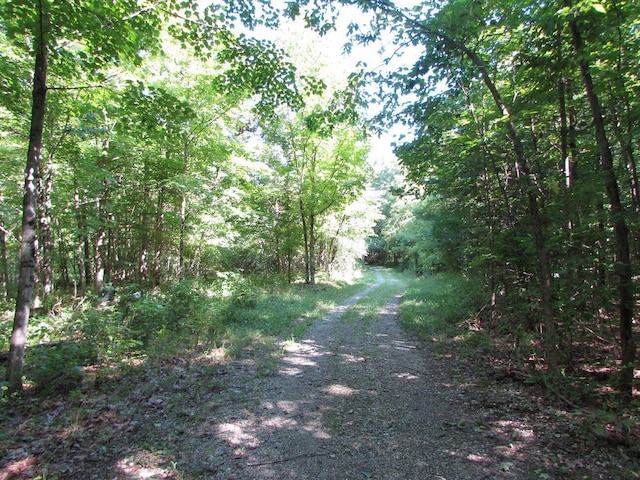 view of landscape