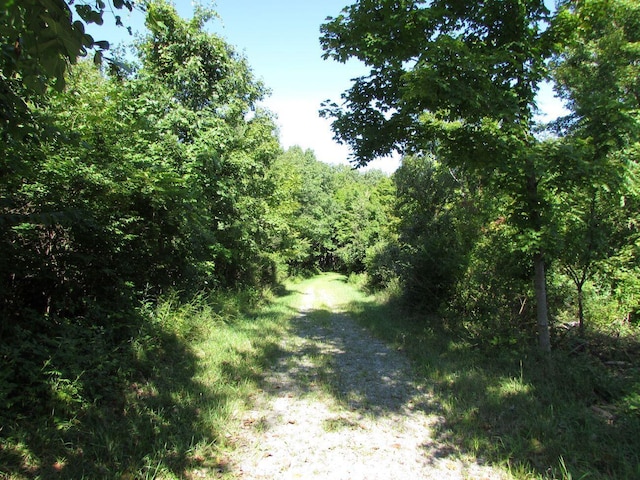 view of landscape