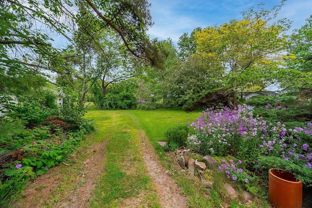 view of yard