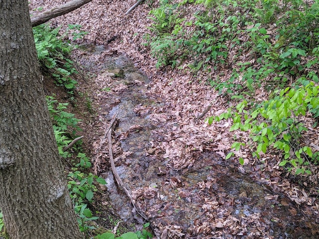 23411 State Route 327, Laurelville, OH 43135 - view of nature