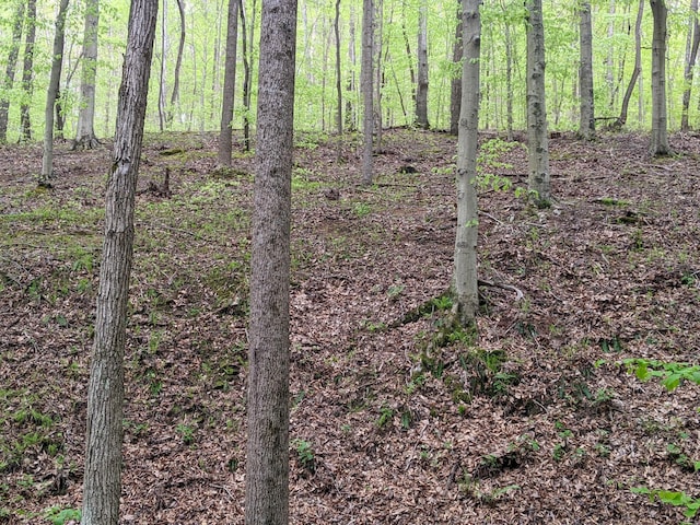 23411 State Route 327, Laurelville, OH 43135 - view of woods