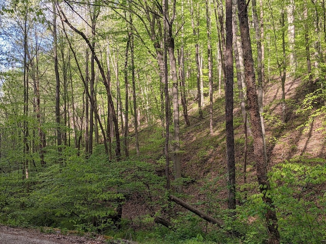 23411 State Route 327, Laurelville, OH 43135 - view of wooded area