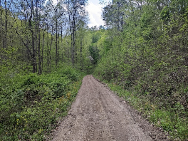 23411 State Route 327, Laurelville, OH 43135 - view of road featuring a view of trees