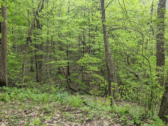 23411 State Route 327, Laurelville, OH 43135 - view of woods