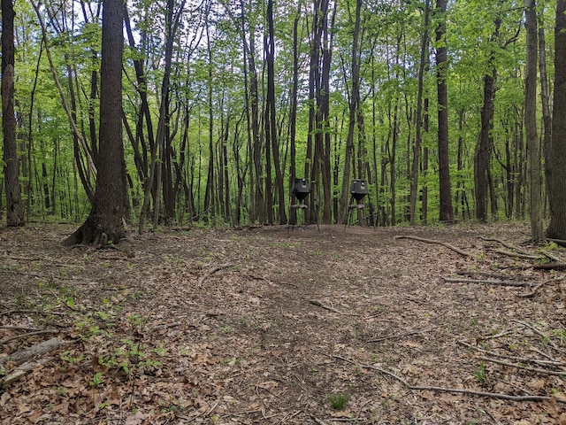 23411 State Route 327, Laurelville, OH 43135 - view of local wilderness