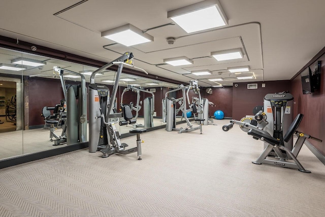 exercise room featuring light carpet