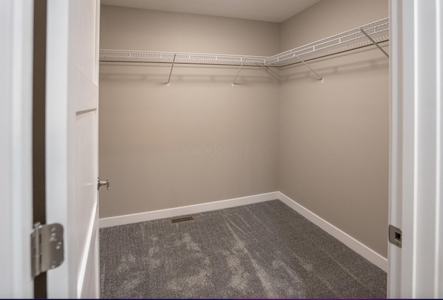 walk in closet featuring carpet