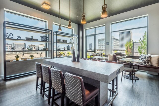 interior space with a kitchen bar, pendant lighting, a healthy amount of sunlight, and dark hardwood / wood-style floors