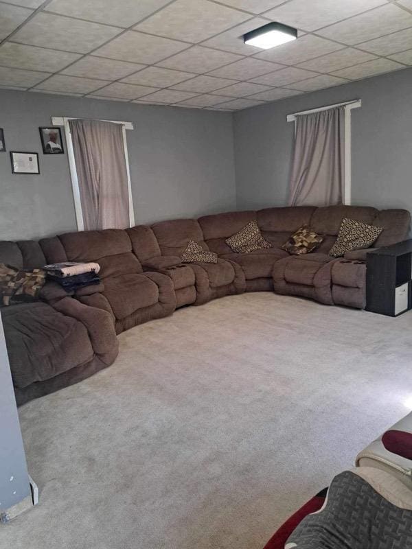 carpeted living room with a drop ceiling