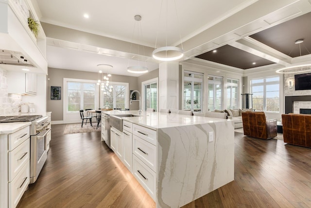 kitchen featuring dark wood-style flooring, open floor plan, ornamental molding, premium range hood, and stainless steel appliances