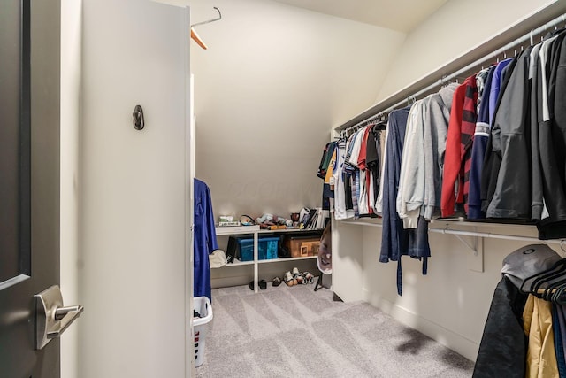 walk in closet featuring carpet flooring