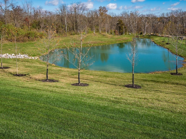 view of water feature